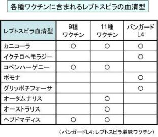 レプトスピラ血清