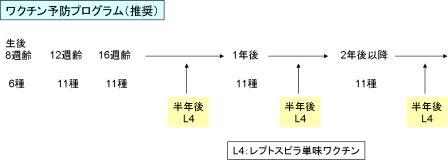 予防プログラム