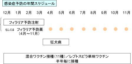 スケジュール