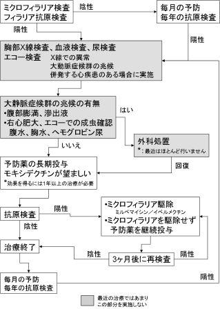 臨床フローチャート フィラリア症 犬糸状虫症 役に立つ動物の病気の情報 獣医学